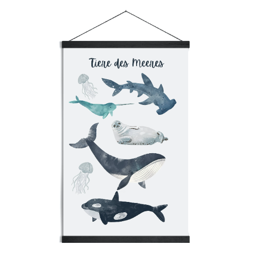 Poster Tiere des Meeres